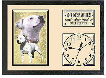 White Staffy Staffordshire Bull Terrier Personalised Dog Breed Gift Clock