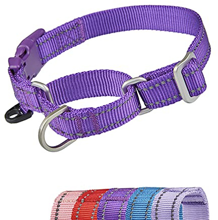 YUDOTE Reflekterande Martingale hundhalsband flyktsäker anti-drag-träningshalsband med säkerhet snabbfrigörande spänne för smala huvud hundar lätt promenad liten lila