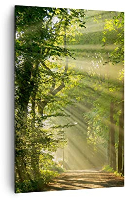 ARTTOR Bilder auf Leinwand 80x120 cm Wandbild Landschaften Wald - 3661 | Baum Natur Vertikal Groß XXL Wanddekoration Wohnzimmer Schlafzimmer Wandkunst Wanddeko Wand Kunstdruck Küche ARTTOR