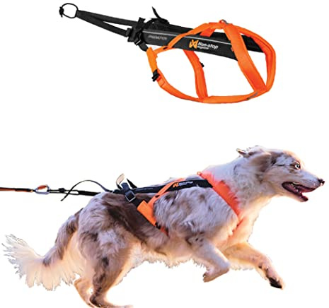 Non-stop dogwear Freemotion Harness 5.0 Zuggeschirr für Sportarten wie Laufen, Radfahren und Skifahren mit Hunden, professionelles anpassbares Hundegeschirr, Schwarz/Orange, Größe 3