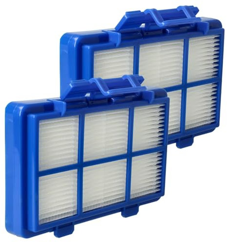 vhbw 2x filtre remplacement pour Philips CP0538/01 pour aspirateur - Filtre HEPA contre les allergies