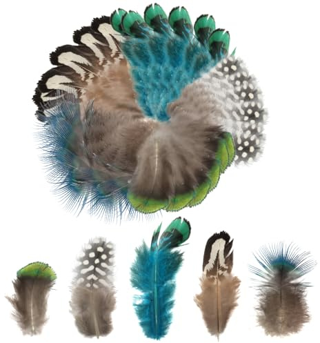 30pcs Craft Feather Decorations, Natural Craft Feathers in Assorted Colours, Peacock and Pheasant Feathers Bulk Set for DIY Crafts Jewellery Wedding Party Decorations and Parade Supplies