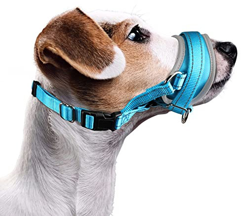 Nasjac Maulkorb für Hunde, Verstellbare Weicher Nylon maulkorb um Beißen zu verhindern Anti-Bellen Stoppen Sie das Kauen Essen Atmungsaktiv Hundemundschutz für kleine Hunde