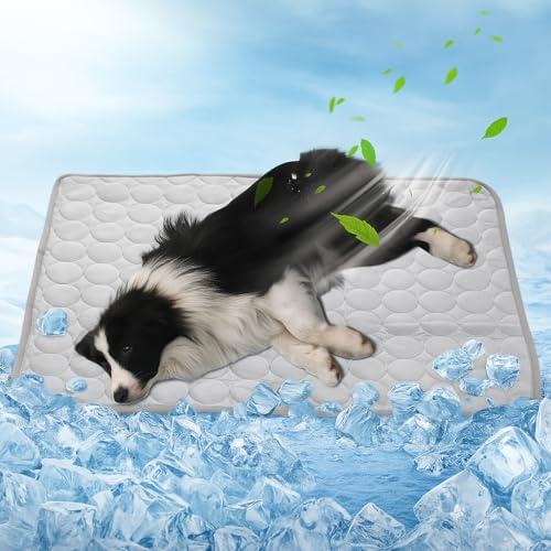 SilverChry Tapis Refroidissant pour Chien et Chat, Glacière Non Toxique pour Animaux De Compagnie, Lavable, Utilisable à l'Intérieur Et à l'Extérieur