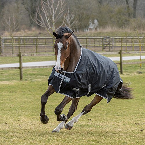 Bucas Anniversary Turnout Light SD 0g - Black/Silver, Groesse:145 | 0g Füllung