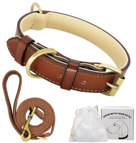Dote on Hundehalsband und Leine, Leder, verstellbar, aus echtem weichem Leder, gepolstert, für kleine, mittelgroße und große Hunde (XL (53–63 cm), Braun)