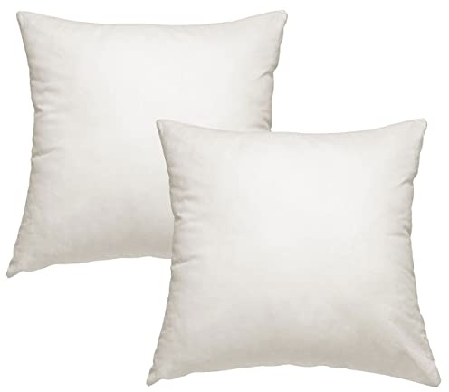 AddLiving Lot de 2 oreillers en plumes 1100 g Coussin Convient aux personnes allergiques 80 x 80 cm Lavable jusqu'à 60 °C