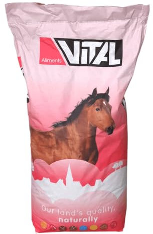 Scar Pferdefutter 20 kg Vital Horse Manege Müsli Vollkorn Melassiert Mineralien