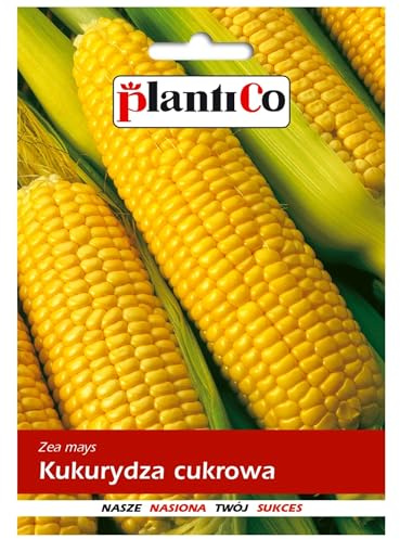 PlantiCo Granturco dolce Golden Bantam 10g Semi Robusti Semi di Ortaggi Semi di Coltivazione Semi di Serra Orto Giardino