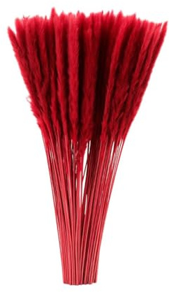 Fresh Plants Pflanze - Set mit 10 roten stabilisierten Pampasgräsern Höhe ca. 85 cm