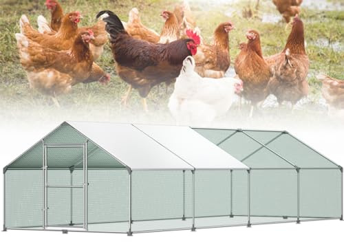 Froadp 3 x 8 x 2 m, kycklingbur, utvändigt inhägnad, höns, galvaniserad stålram med PE soltak och lås 24 ㎡hönshus, kaninstall, fjäderfäuppfödning, bur, smådjur, inhägnad, voljär