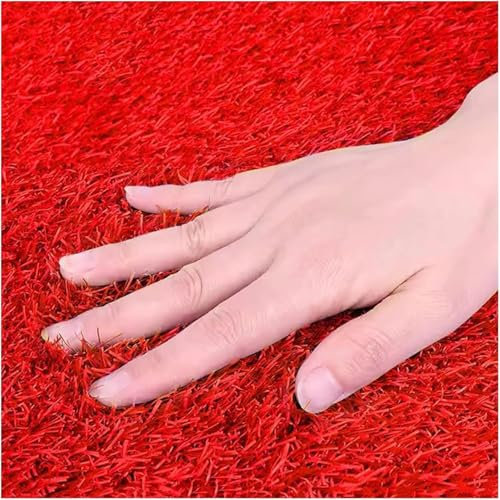 Tappetino in Erba Finta Antiscivolo, Tappeto in Erba Sintetica con Fori di Drenaggio, Rotolo in Erba Sintetica Paesaggistica for Esterni, Spessore 0,78 Pollici (Colore : Rosso, Dimensioni : 59x 118(in