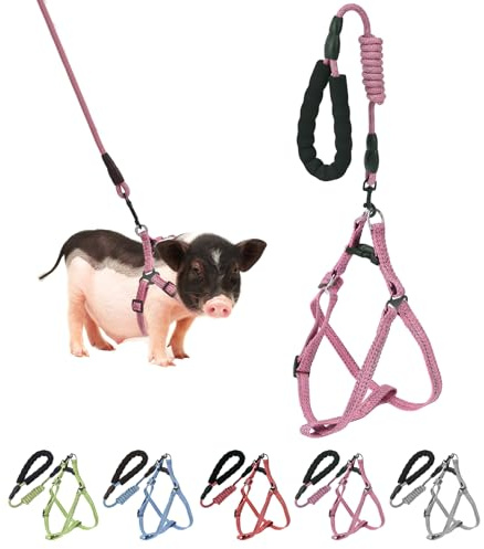 Mini-Schweinegeschirr, verstellbar, mit Leine im Infinity-Stil und weichem Schaumstoffgriff, für kleine bis mittelgroße Haustierschweine, zum Spazierengehen, Training und Joggen, Rosa, Größe M