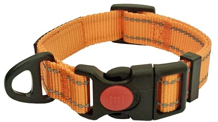 Barkridges Premium hundhalsband | Justerbart | Lättburet spänne | Låsbart | Hållbart | Säkerhetsreflekterande remsor | Bekväm för små medelstora hundar (Papaya Orange, XS)