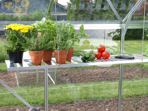 Gewächshaus-Aluminiumregal 120 x 31cm abklappbar Klappregal Gewächshausregal