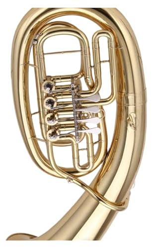 Das Tenorhorn Dritte Oder Vierte Tiefe H Stimme Und Das Euphonium Eignen Sich Für Anfänger Und Erwachsene Euphonium Für Erwachsene(3)