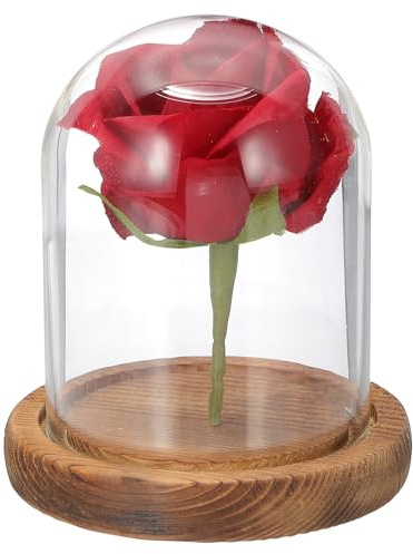 QUARKZMAN Cúpula De Vidrio para Exhibición Cloche 3.9 x 3.1 Jarra | Cúpula De Vidrio Con Base De Madera Para Mesa, Decorativa Campana De Vidrio, Madera
