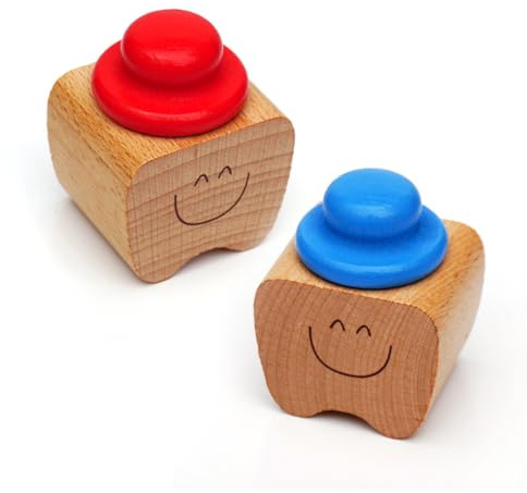 YIPFEN 2 Piezas Cajas para Dientes de Leche, Caja de Recuerdos para Guardar los Primeros Dientes de Leche, Regalo del Ratón Pérez para Niños y Niñas