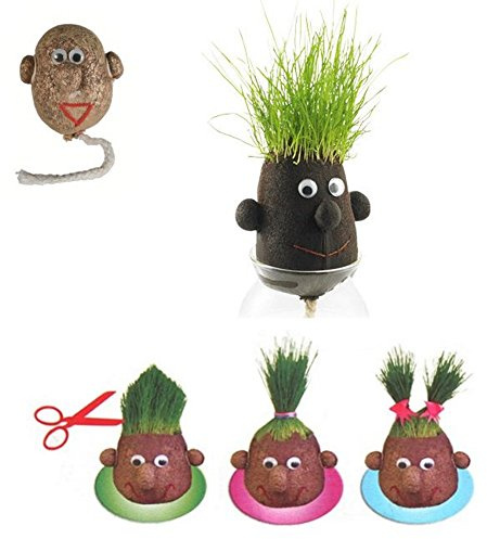 Doridia Imports Graskopf - Egghead