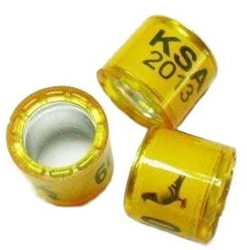 50pcs8mm bande personalizzate per corsa piccione anello uccelli gamba con nome telefono