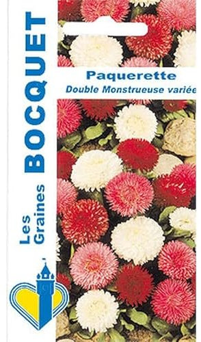 Sachet de graines de Pâquerette à fleur double variée - 0,3 g - fleur bisannuelle - LES GRAINES BOCQUET