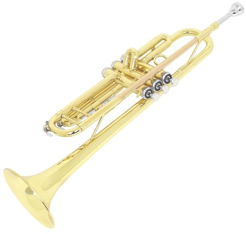 Trompeten Trompete B-Dur Messing Anfänger Erwachsene Blasinstrument Trompete Profi Tragbar Vollton(PhosphorBronze)