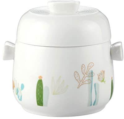 HJUGHPN Pot - Tazón para estofado de 750 ml con doble tapa y asa, cuenco de sopa de vapor, taza para cocinar al vapor, carne de res, huevo, olla de cocción lenta grande y pequeña