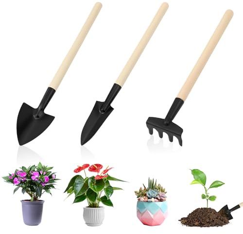3 Pièces Outils de Jardinage, Mini Outils de Jardinage, Mini Outil de Jardin, Outil de Jardinages à Main avec Manches en Bois, Pelle, Bêche, Râteau, pour Balcon Potager Plantes Grasses