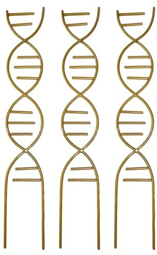 Lawnoval Lot de 3 cadres d'escalade pour plantes - Design spirale ADN - Support en fer Pothos et lierre - Utilisation intérieure et extérieure - Noir et doré