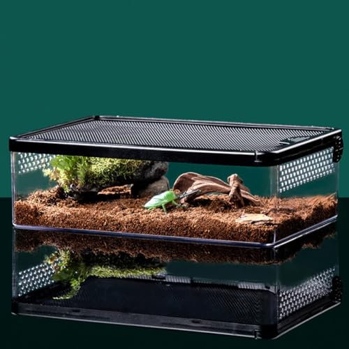 YZHZOM Mini Terrarium, Magnetisches Acryl heimchenbox, Reptile Fütterungsbox für Schlange Geckos Froschechsen Chamäleons Schlange Skorpion Schnecke Insekt Einsiedlerkrebs Isopoden (32x22x10cm)