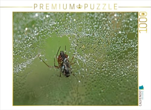 Puzzle · Spinnennetz mit Tautropfen | Schönheit der Spinnennetze · 1000 Teile · Lege-Größe 64 × 48 cm · CALVENDO Puzzle
