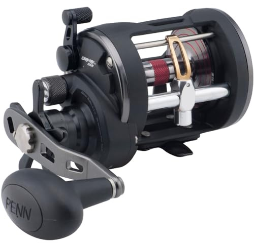 Penn Warfare 20 Level Wind Reel - Rechtshand Multirolle zum Hochseeangeln, Angelrolle zum Meeresangeln, Pilkrolle, Rolle
