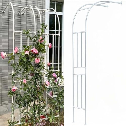 Treillis d'arche de jardin en métal – Cadre en acier pour plantes grimpantes, roses et vignes – Pergola murale d'extérieur pour pelouse, terrasse et arrière-cour (300 x 240 x 40 cm)