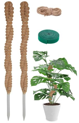 Generico Supporto per Piante Monstera con di Muschio,2 Pezzi Traliccio Pieghevole con Fibra di Cocco | 63 Cm di Muschio per Piante Monstera - per Rampicanti Vaso Interno Casa Giardino