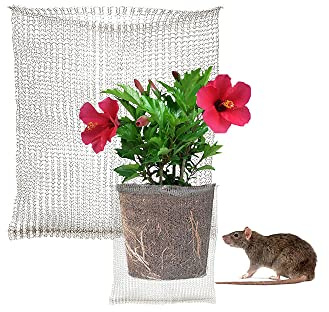 LEMCC Pflanzenwurzelschutz, Wurzelschutz aus Edelstahl für Pflanzen, Wühlmausdrahtkorb, Drahtgitterbeutel für Wühlmaus und Gopher Drahtkörbe für Pflanzen, Beeren, Gemüse, Wurzelschutz (45 x 40 cm), 4