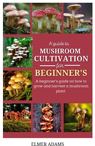 A GUIDE TO MUSHROOM CULTIVATION FOR BEGINNERS: A beginner’s guide on how to grow and harvest a mushroom plant