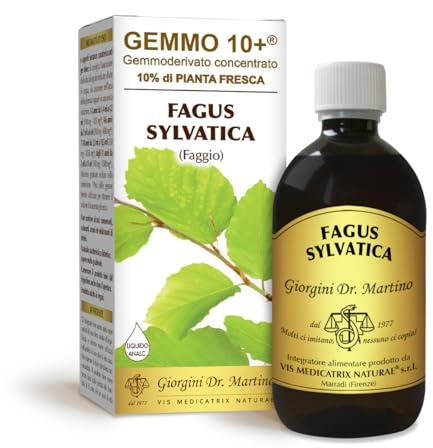 Dr Giorgini FAGGIO Gemmoderivato Concentrato Liquido Analcoolico - 500 ml