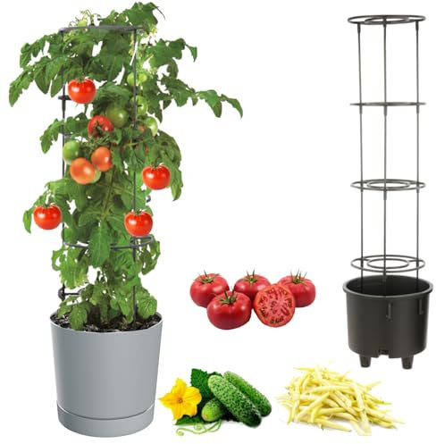 botle Pot à tomates - Pot pour la culture de plantes grimpantes - Pot à légumes - Diamètre : 40 cm - En plastique - Gris pierre + insert avec cadre haut