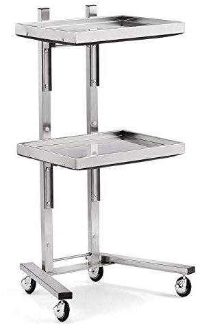 Chariot de Coiffure Portable en Acier Inoxydable avec Table Pliante, Chariot de Rangement pour Outils de Salon de Coiffure Japonais, argenté