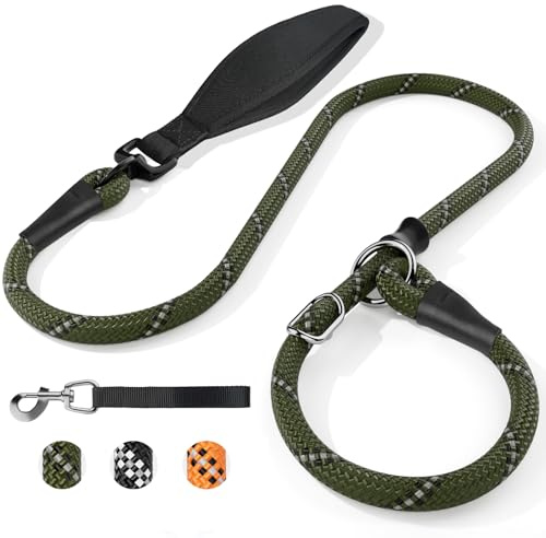 X XBEN Laisse Chien avec Stop IntéGré, 120cm RéFléChissant Longe pour Chien avec PoignéE Confortable RéSistante Convient Aux Chiens De Moyenne Et Grande Taille, 8mm, Vert