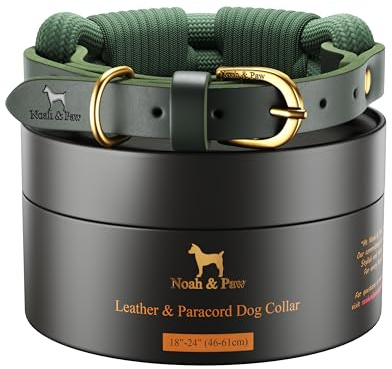 NOAH & PAW Halsband XL groß Hund, Leder véritable mit paracorde, Boucle métal robuste, coloris Mixte, Tour de cou 18-24 (Grün foncé)
