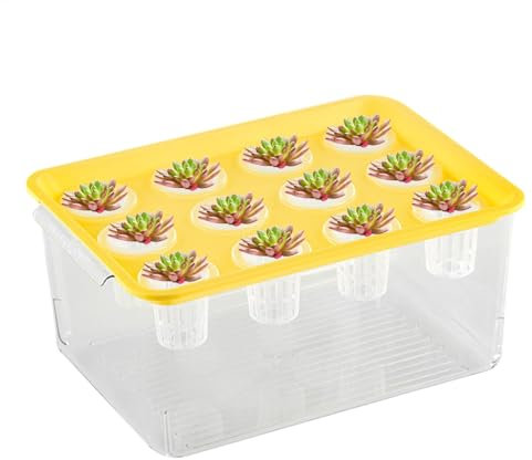 Aquaponic Pflanzer und Aquarium, Aquaponic Pflanzer und Aquarium für Fische | Desktop -Pflanzerdekorationen | Blumenverbreitungsstation Vase für Hydrokulturpflanzen Wohnkultur