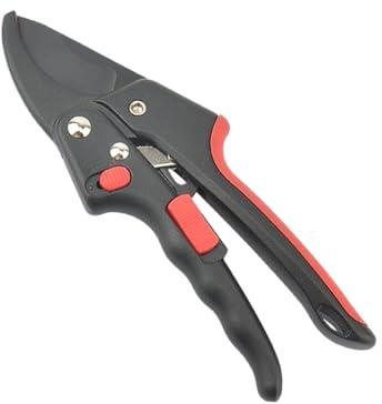 Sécateur de jardin – Outils de jardinage ergonomiques pour le jardinage, ciseaux de taille pour, roses, arbres fruitiers, ornementales et à fleurs en extérieur