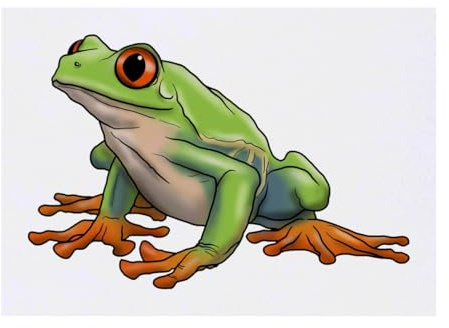 Azeeda 'Rainforest Tree Frog' Temporary Tattoo - A6 (TO00045570) | Water Resistant Skin Safe Transfer for Parties, Costumes and Gifts