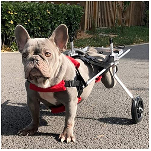REMEK Haustiere Wagen Hunderollstuhl Für Hinterbein/Hintere Füße Rehabilitation Rollstuhl Dog Wheelchair Für Hunde Katze Hase Haustier Von 2~44 Lb Hundegehilfe Hunderollwagen
