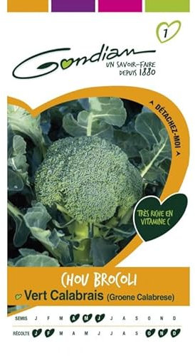Gondian - Chou Brocoli Vert Calabrais