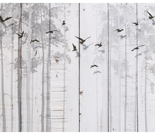 murando - Papier peint imperméable 400x280 cm - Revêtement mural - Décoration murale pour cuisine, chambre d’enfant, salle de bain - Bois Texture Arbres Oiseaux Nature Planches Grises f-C-0178-a-a