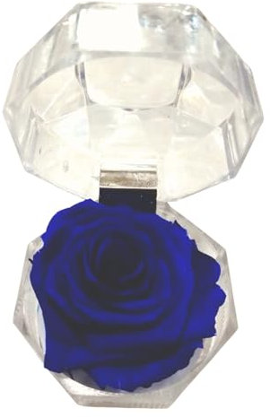 Genérico ROSA ETERNA AZUL EN JOYERO. Regalo Original. Rosa Azul Natural preservada. Decoración Elegante. Regaslo Enamorados, cumpleaños, Aniversario, Dia de la Madre.