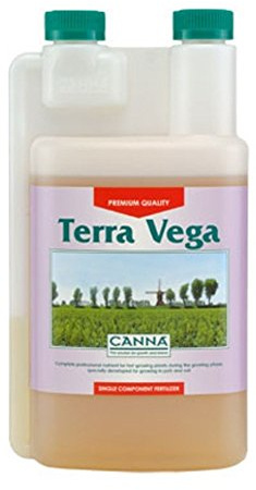 CANNA ctv1000