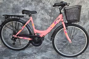 Generisch 26 Zoll Damencityrad SAFIRO 21-Gang Kettenschaltung, Gepäckträger, Korb NEU 2608-Rosa Bitte BEACHTEN AB 155 cm KÖPERGRÖSSE GEEIGNET !!!!!!!